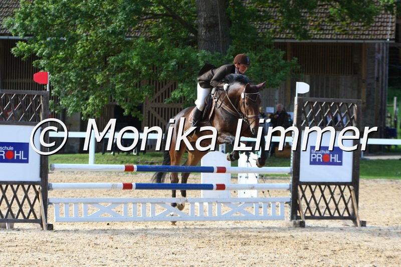 006M6351_Santina Belissima_Springpferde A.JPG